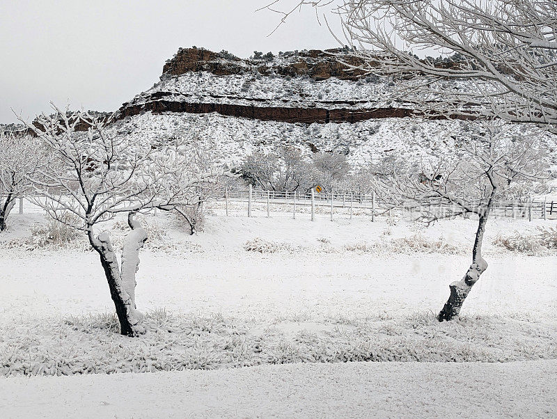 在犹他州洛克维尔的格拉夫顿路上，冬天被雪覆盖的牧场，背景是锡安国家公园