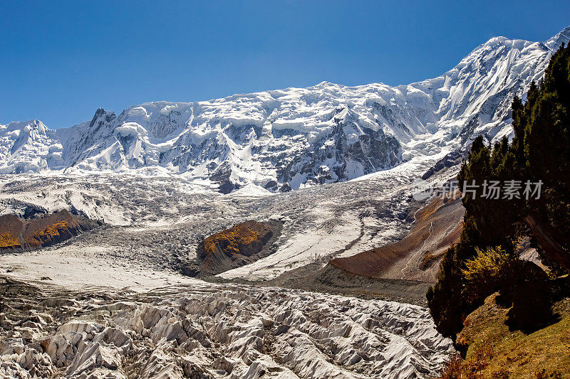 米纳平冰川和Rakaposhi山景，喀喇昆仑，巴基斯坦