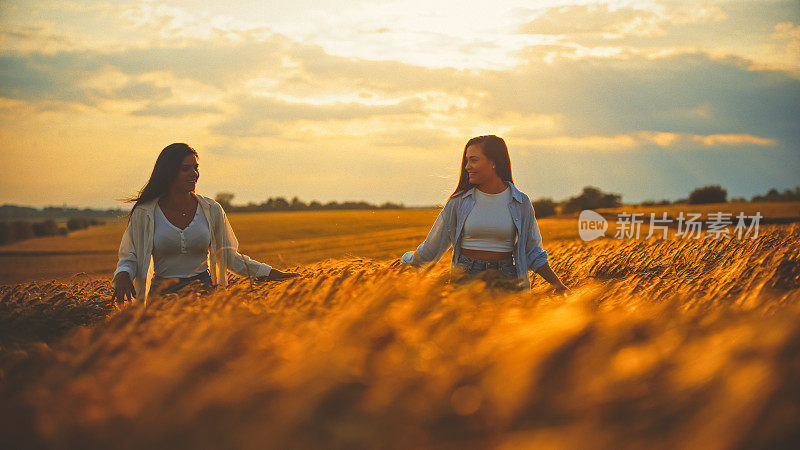 快乐的女性朋友在夕阳下漫步在田野的庄稼中