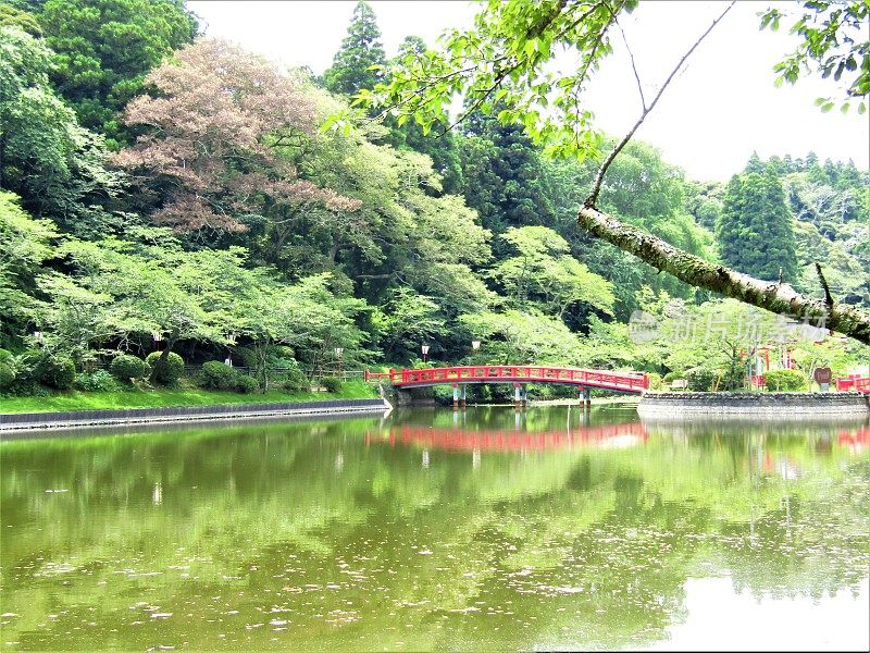 日本。7月。公园里有红桥的池塘。的印象。
