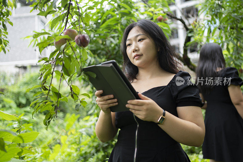 女性研究人员用片剂评估植物生长