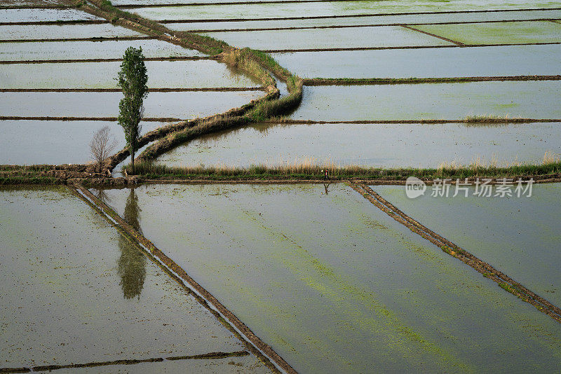 从上方俯瞰Çorum地区Osmancık水田的灌溉景观。