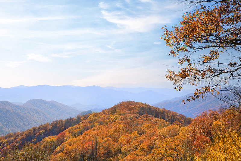 烟山秋叶