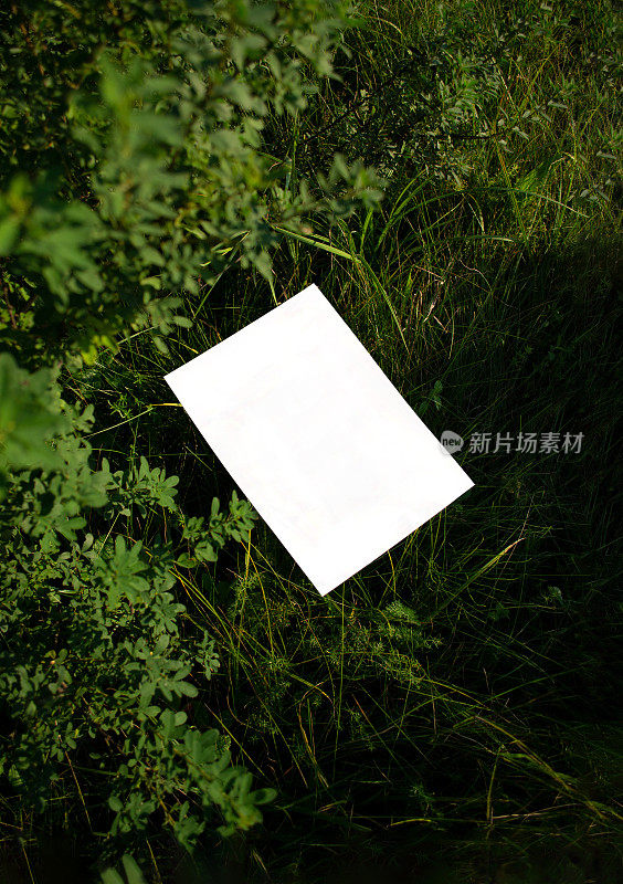 绿色草地上的白色A4纸的模型，前景是灌木丛中模糊的树枝。