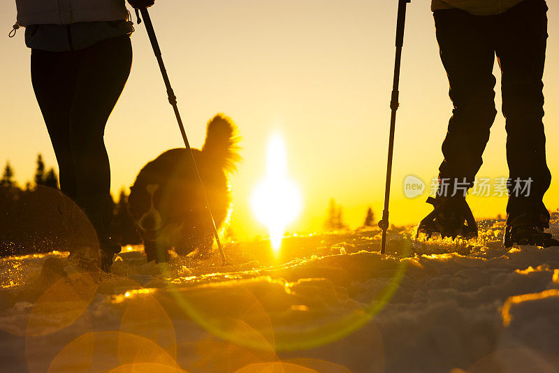 两名滑雪者与伯尔尼山宠物狗在雪景上的低段