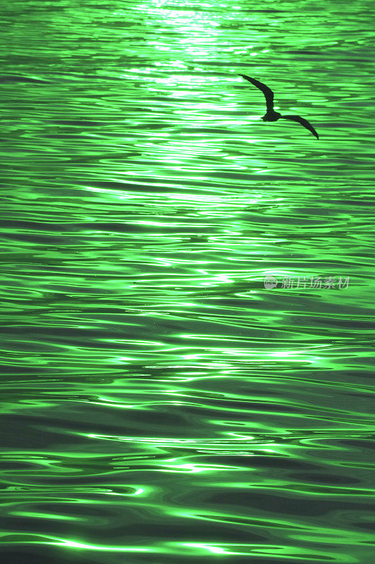 波普艺术风格的渐变绿色的太阳光线反射波光粼粼的海面与一个轮廓飞行的海鸥