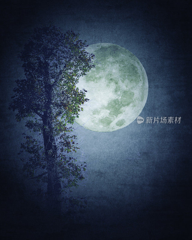幻想蓝月亮，孤独的树，黑暗幽灵的夜晚-大气的心情