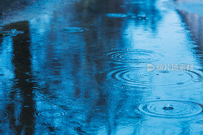 水坑里的雨滴。暴雨。