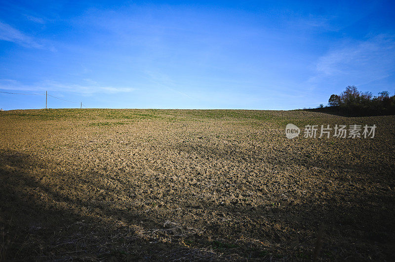 肥沃的花园土壤全景。