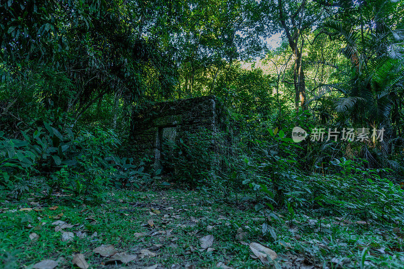 19世纪的建筑废墟来自一个古老的咖啡种植园，现在是蒂茹卡国家公园，里约热内卢的大西洋雨林。美丽和神秘的游客和徒步旅行者。