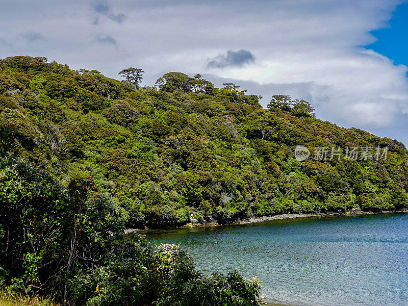 海边森林茂密的小山。拉基拉赛道，斯图尔特岛，新西兰。