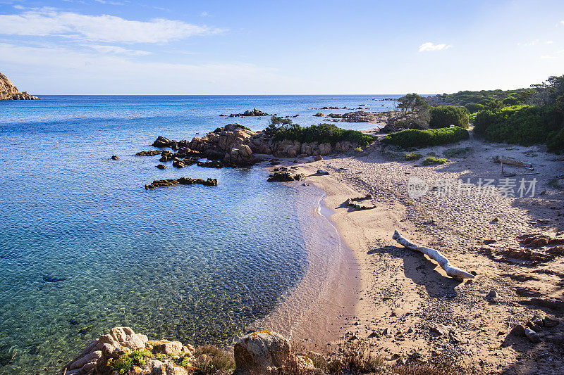 卡拉利西亚海滩，一个适合狗狗的海滩，位于撒丁岛的翡翠海岸