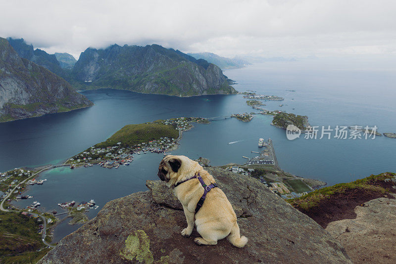 在罗浮敦群岛的山上徒步旅行，从上面眺望风景