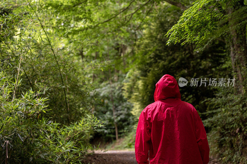 一个穿着红色连帽雨衣的男人独自在森林里