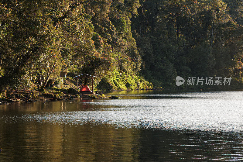 清晨，西苏门答腊占壁省，七山湖湖畔热带森林荒野中的帐篷