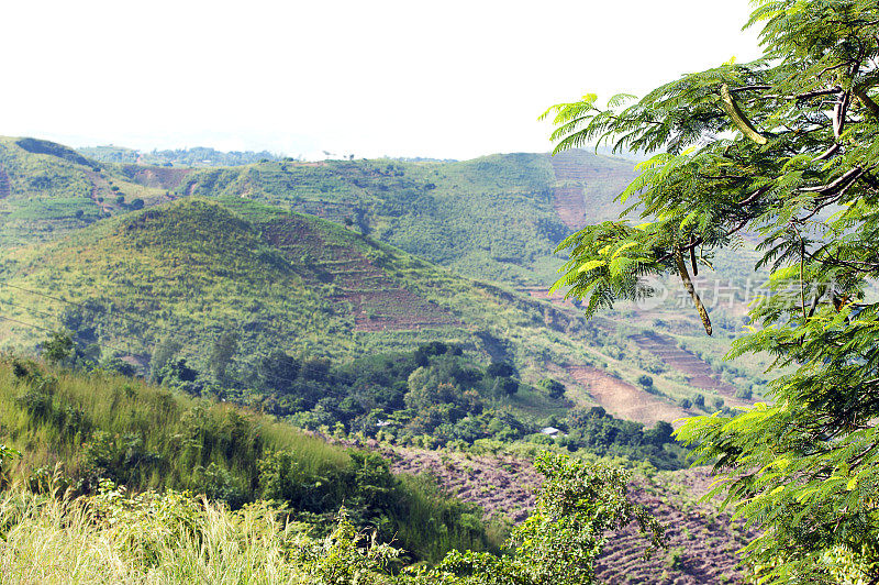 非洲马拉维，布兰太尔到马杰特路线上起伏的丘陵