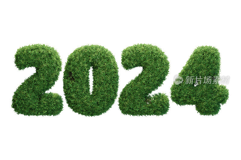 布什绿叶与2024，可再生能源碳和企业ESG政府和NetZero概念。