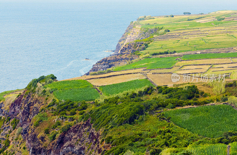 葡萄牙亚速尔群岛Terceira岛的海景、海岸线和草地。