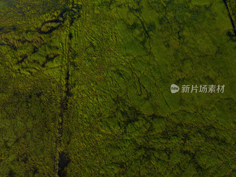 摘要航拍的绿色草地，江西省
