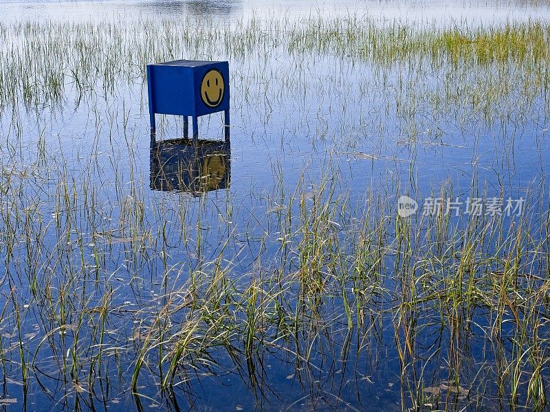 在普罗温斯敦堤边的沼泽边，一个昆虫诱捕箱在平静的蓝色海水中