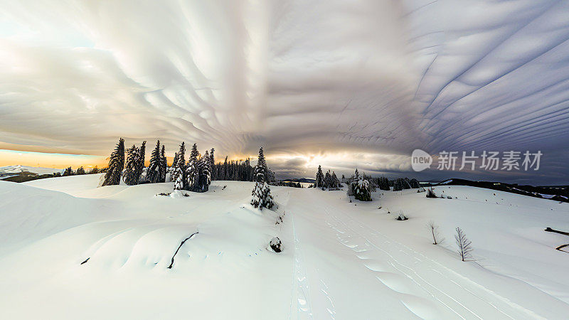 戏剧性的冬日场景与雪树，小行星格式