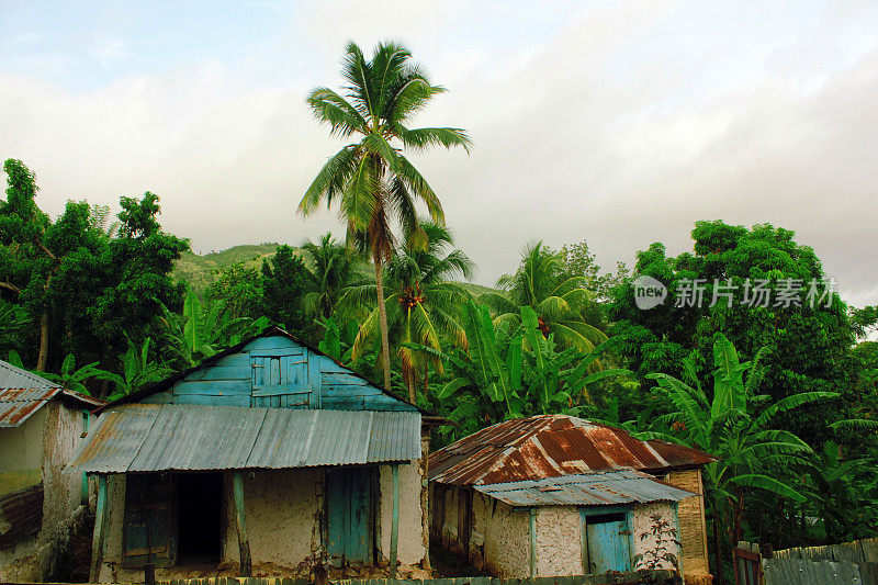 海地农民的房子和植被