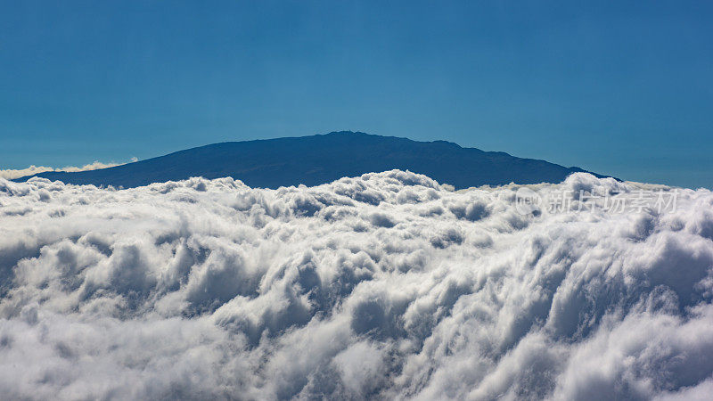 哈雷阿卡拉山的顶峰在云之上的观点