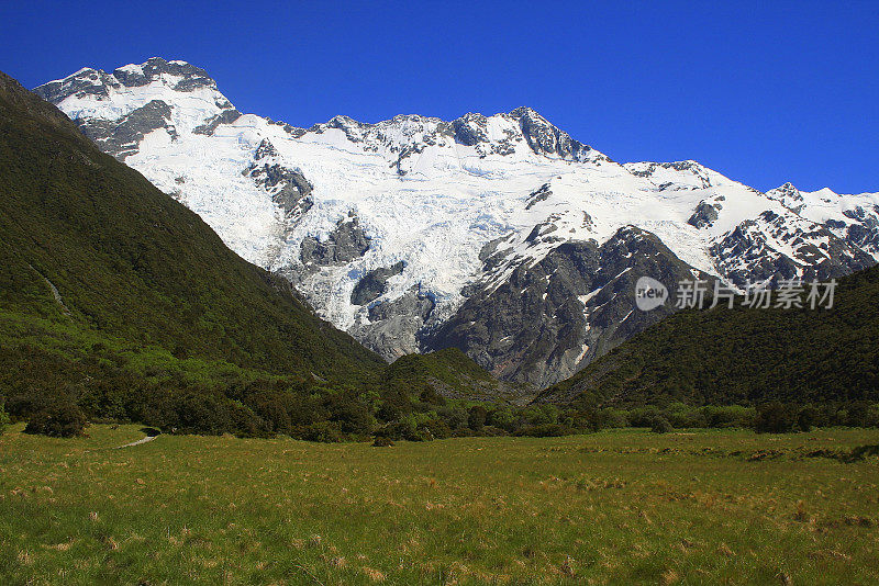 雄伟的库克山冰雪覆盖的山脉和冰川从胡克格林山谷，坎特伯雷，田园诗般的南新西兰