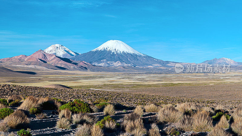 智利劳卡国家公园的帕里纳科塔火山