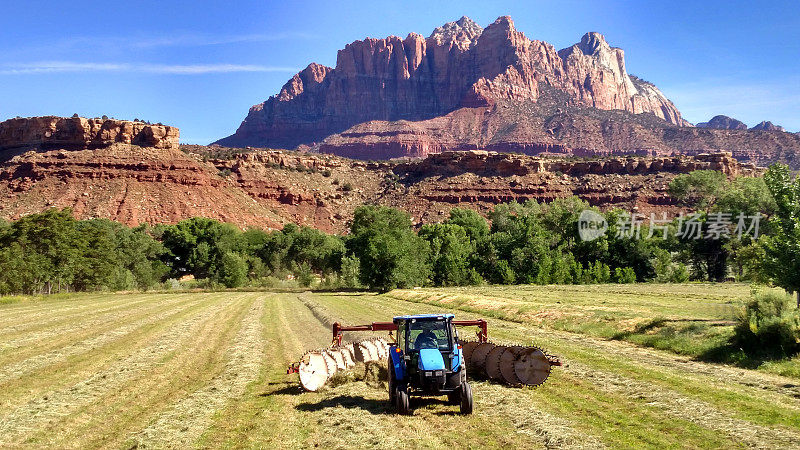 在犹他州洛克维尔梅萨山下的牧场，拖拉机将干草晒干
