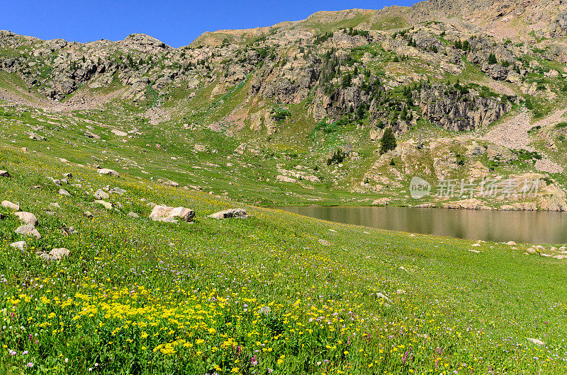 高山湖泊和夏季野花草地