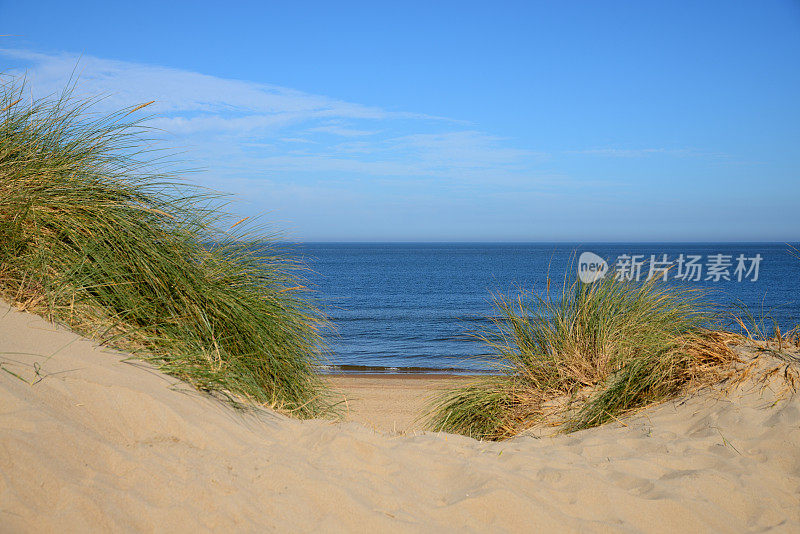 从沙丘和马拉姆草的海景