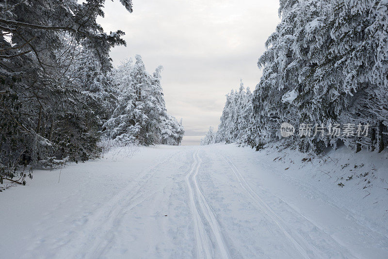 阿巴拉契亚的罗安山上覆盖着积雪的道路