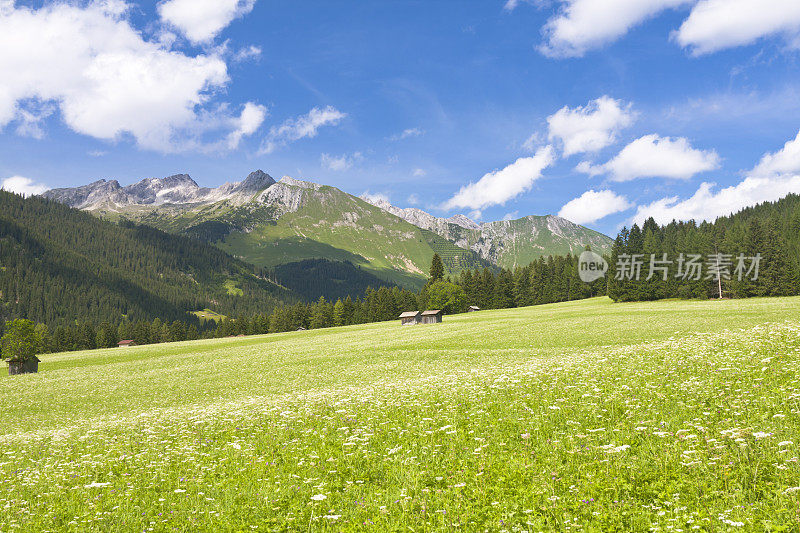 阿尔卑斯草原，奥地利