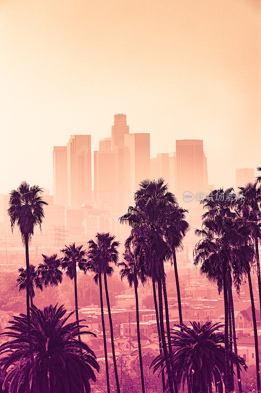 前景是棕榈树的洛杉矶天际线