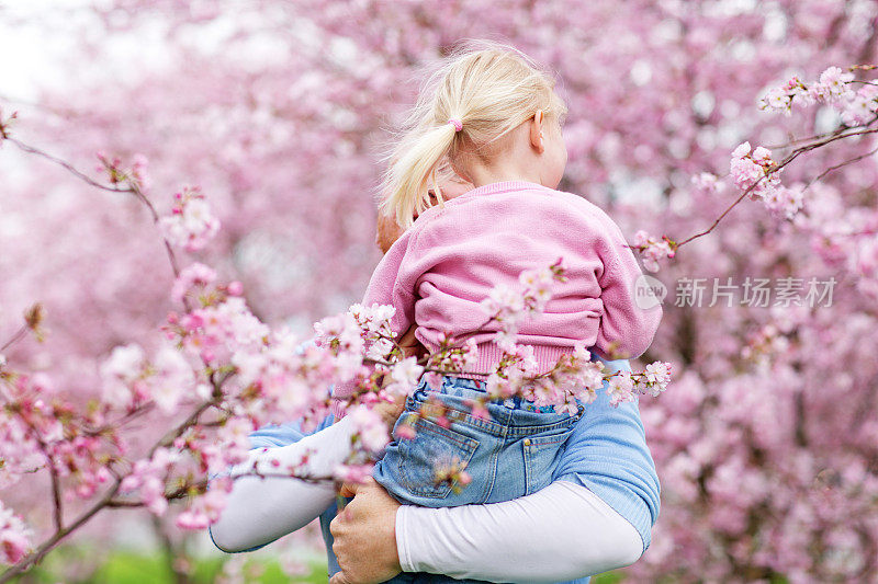 父女俩在樱花丛中