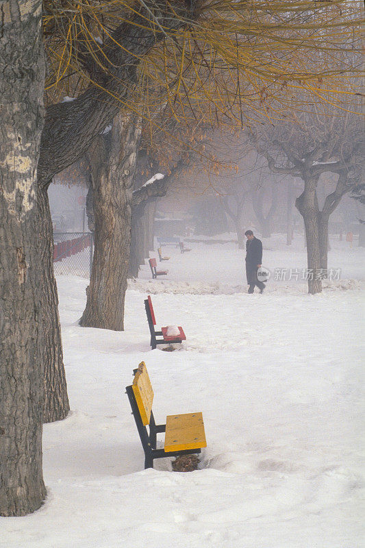 一名男子穿过白雪覆盖的公园