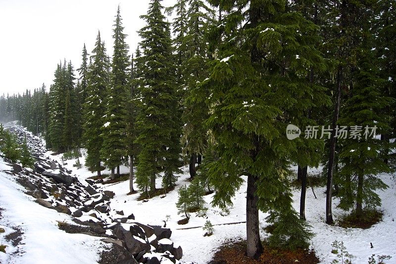 九月的瀑布之雪