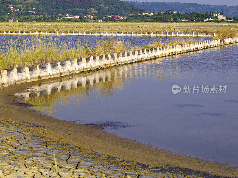 盐沼泽