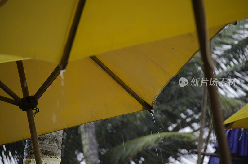 遮阳伞在雨中