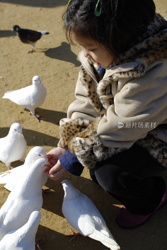 孩子喂鸽子