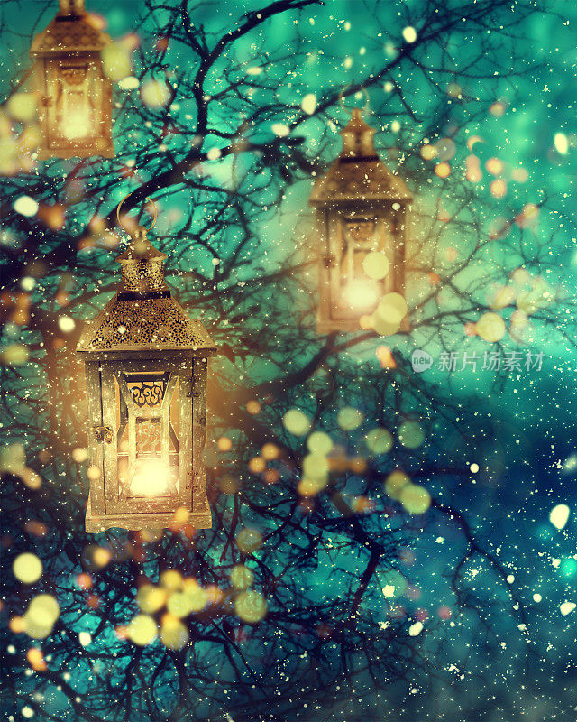 圣诞彩灯在雪夜里