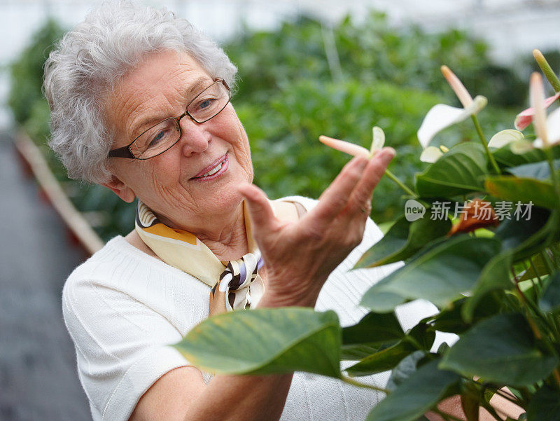 我一眼就能看出什么是健康的植物!