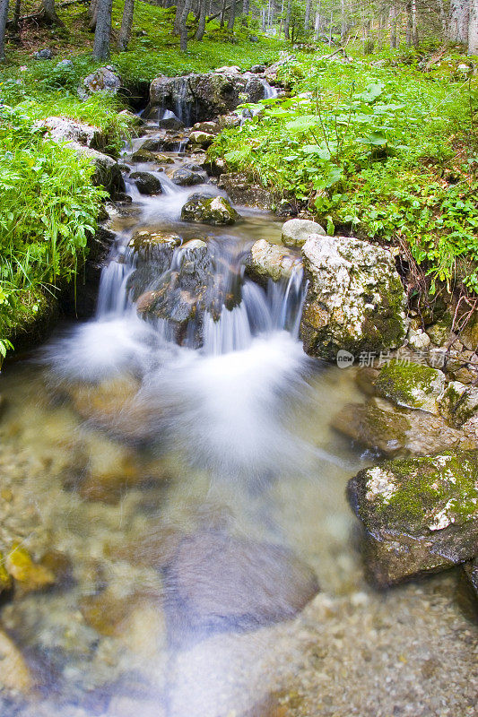 野外水域