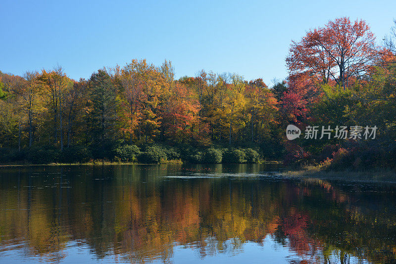 在许诺土地州立公园的湖中秋色反射