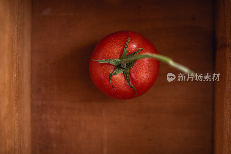 藤上成熟的红番茄