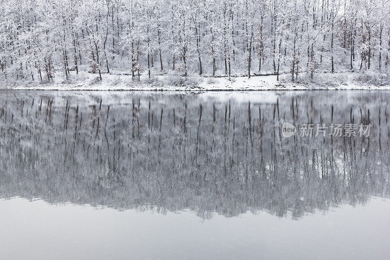 覆盖着积雪的森林倒映在湖面上