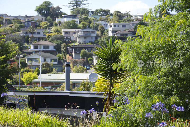 新西兰城市房屋背景