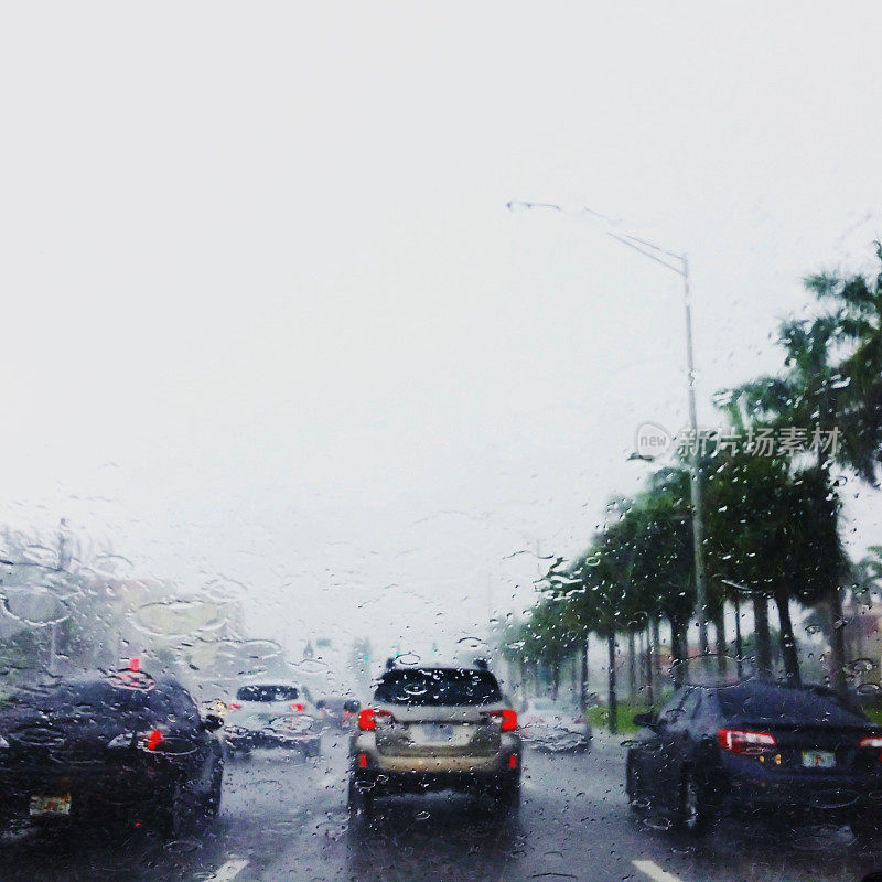 迈阿密佛罗里达交通驾驶在雨天潮湿的道路上