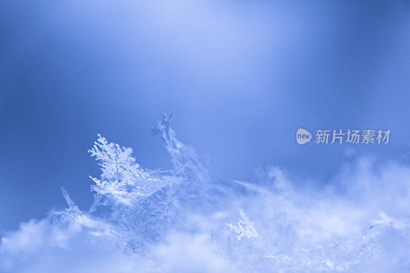 真正的雪花